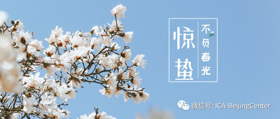  今日惊蜇，不负春光。
