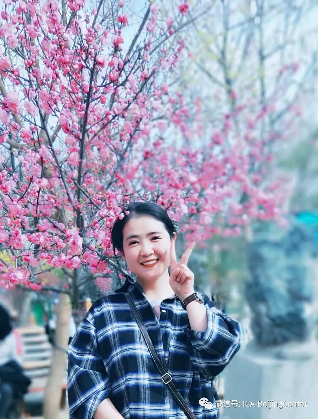  活动预告 ｜ ICA国际汉语教师分享：我在新加坡的教学生活